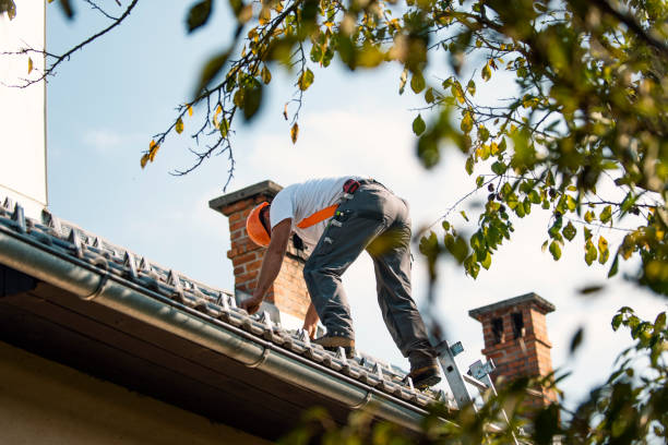 Best Local Roofing Companies  in Petersburg, WV
