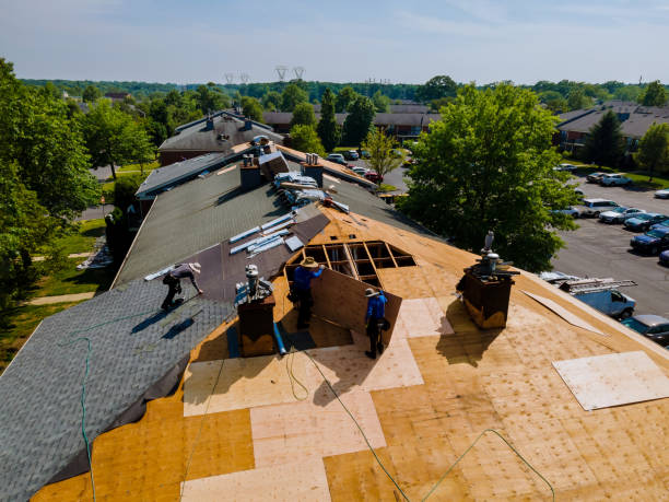 Roof Gutter Cleaning in Petersburg, WV