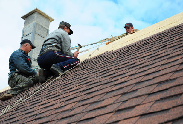 Best Roof Leak Repair  in Petersburg, WV