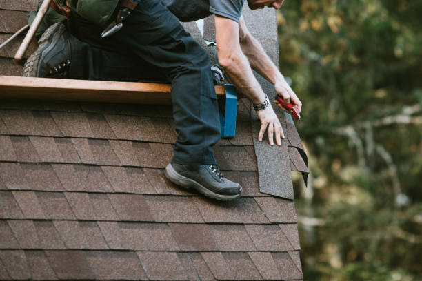 Best Roof Leak Repair  in Petersburg, WV